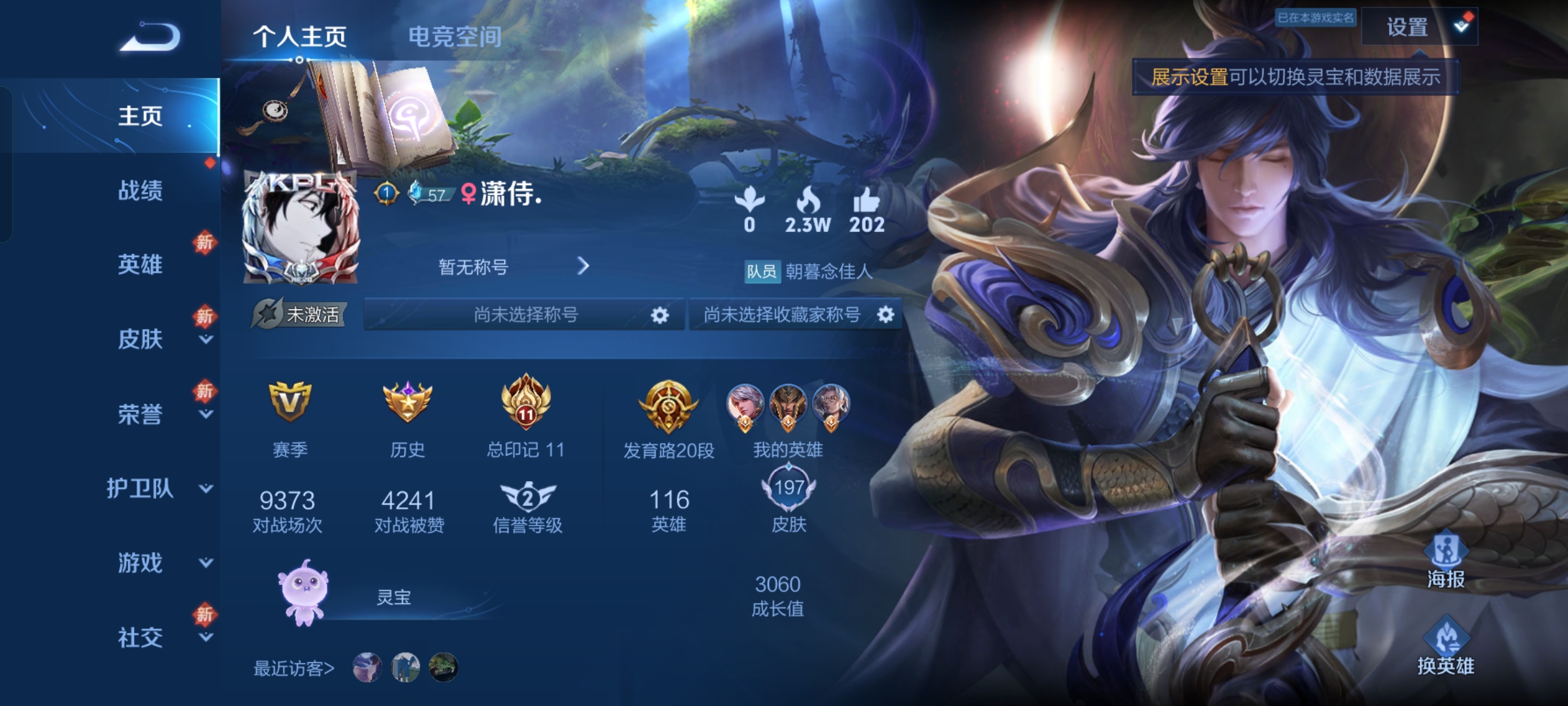 王者荣耀陪玩服务