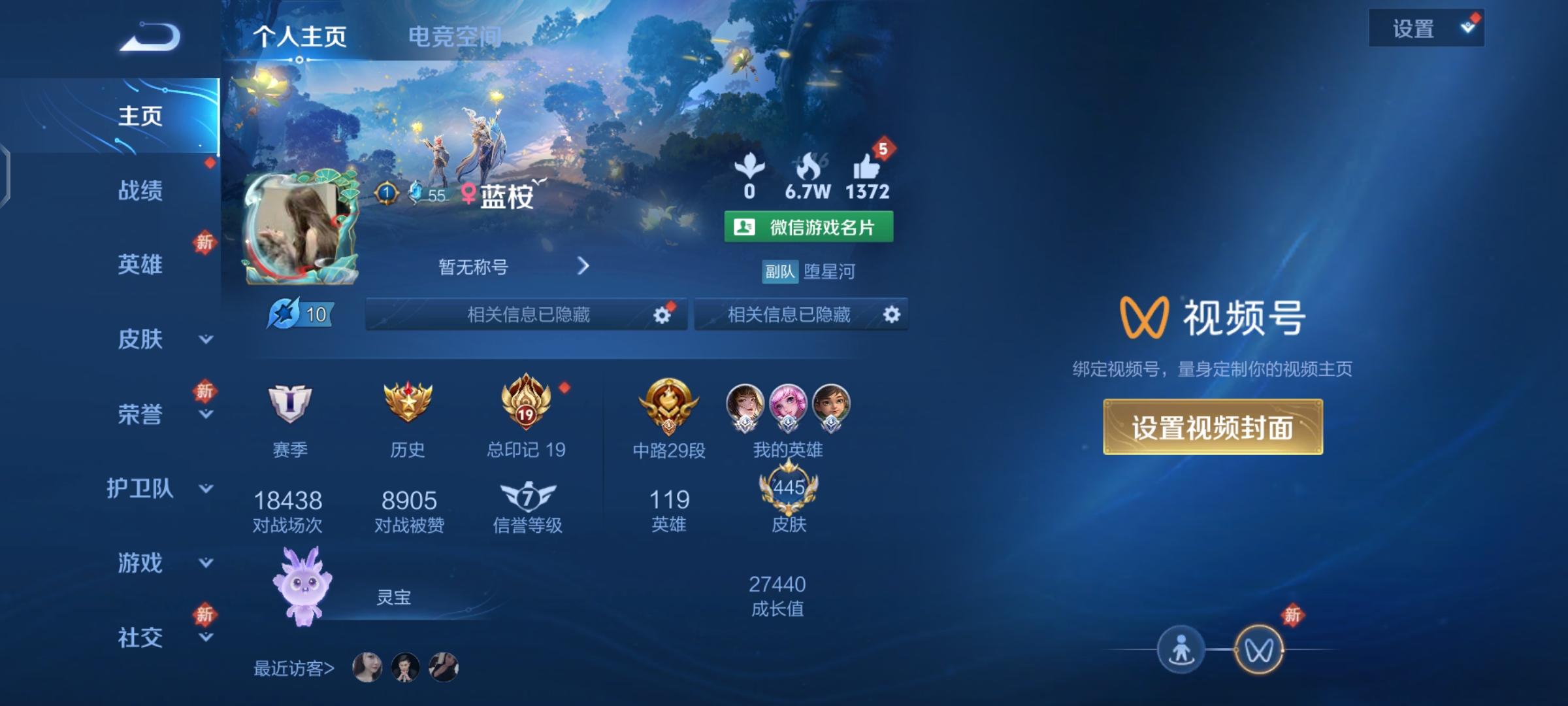 王者荣耀陪玩服务