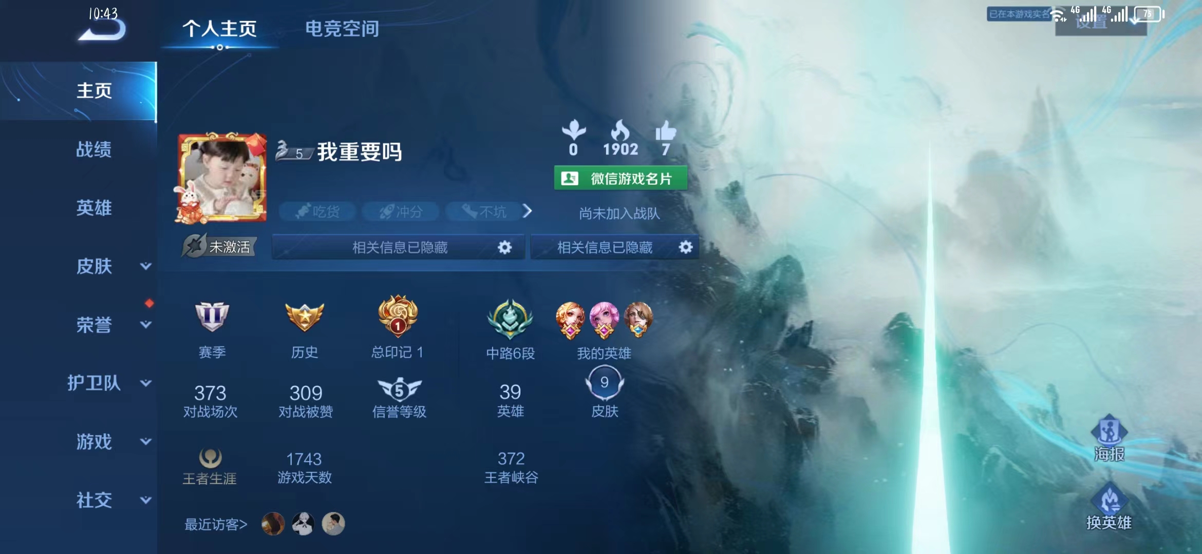 王者荣耀陪玩服务