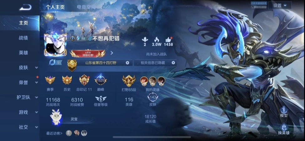 王者荣耀陪玩服务