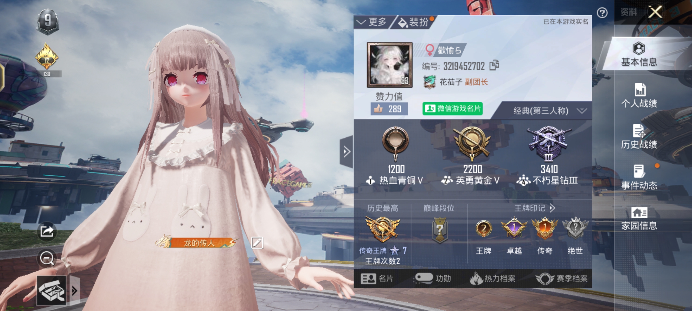 和平精英陪玩服务