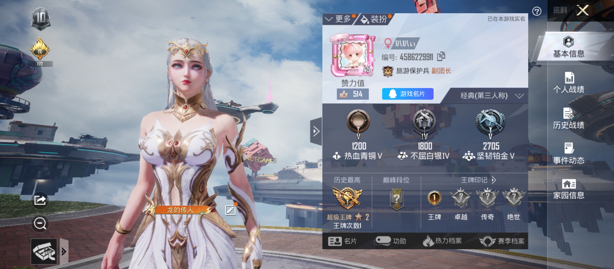 和平精英陪玩服务