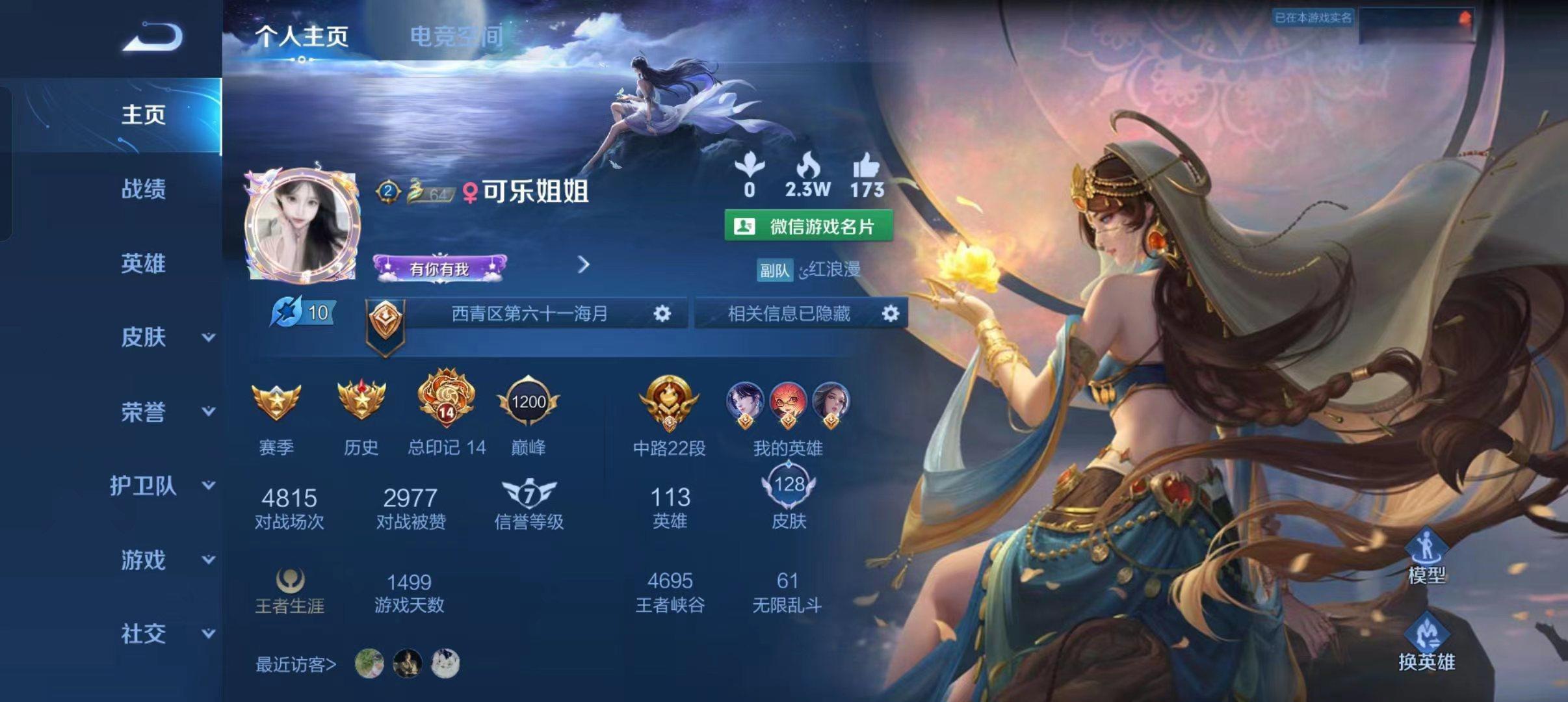 王者荣耀陪玩服务