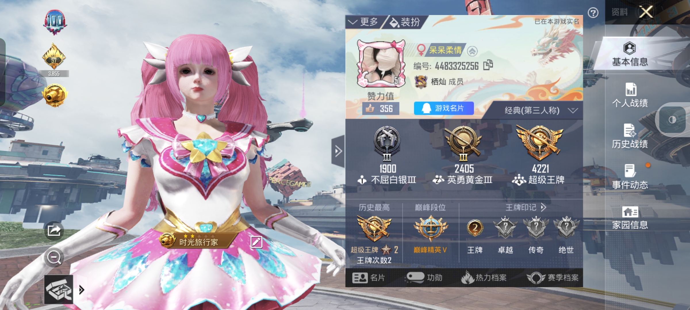 和平精英陪玩服务