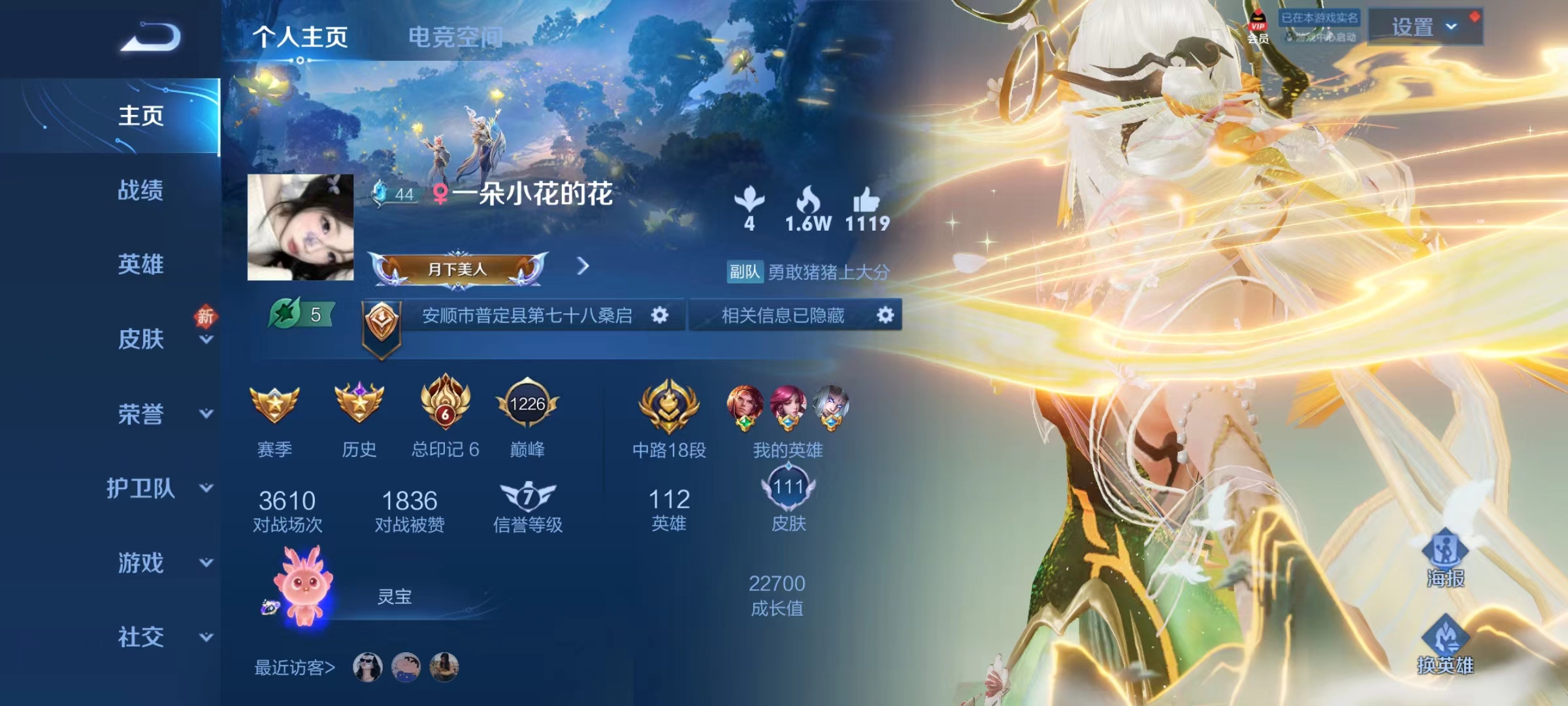 王者荣耀陪玩服务