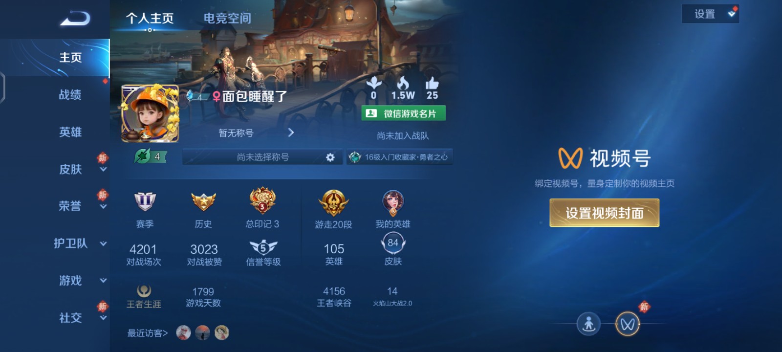 王者荣耀陪玩服务