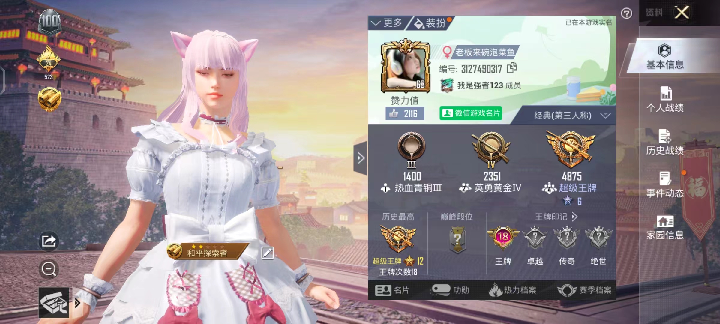 和平精英陪玩服务