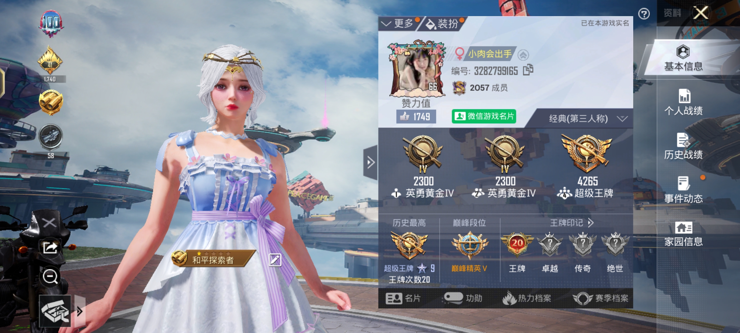 和平精英陪玩服务