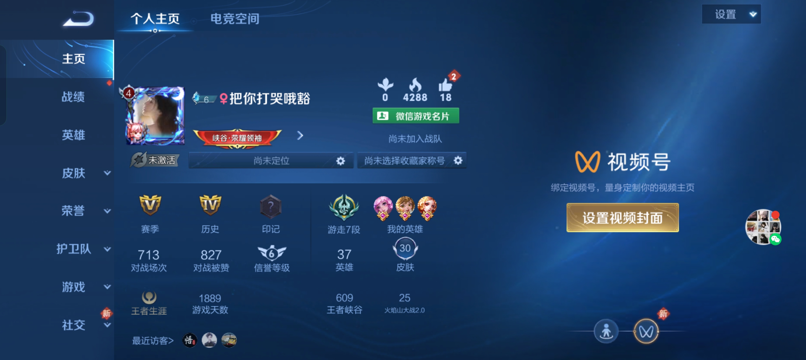 王者荣耀陪玩服务