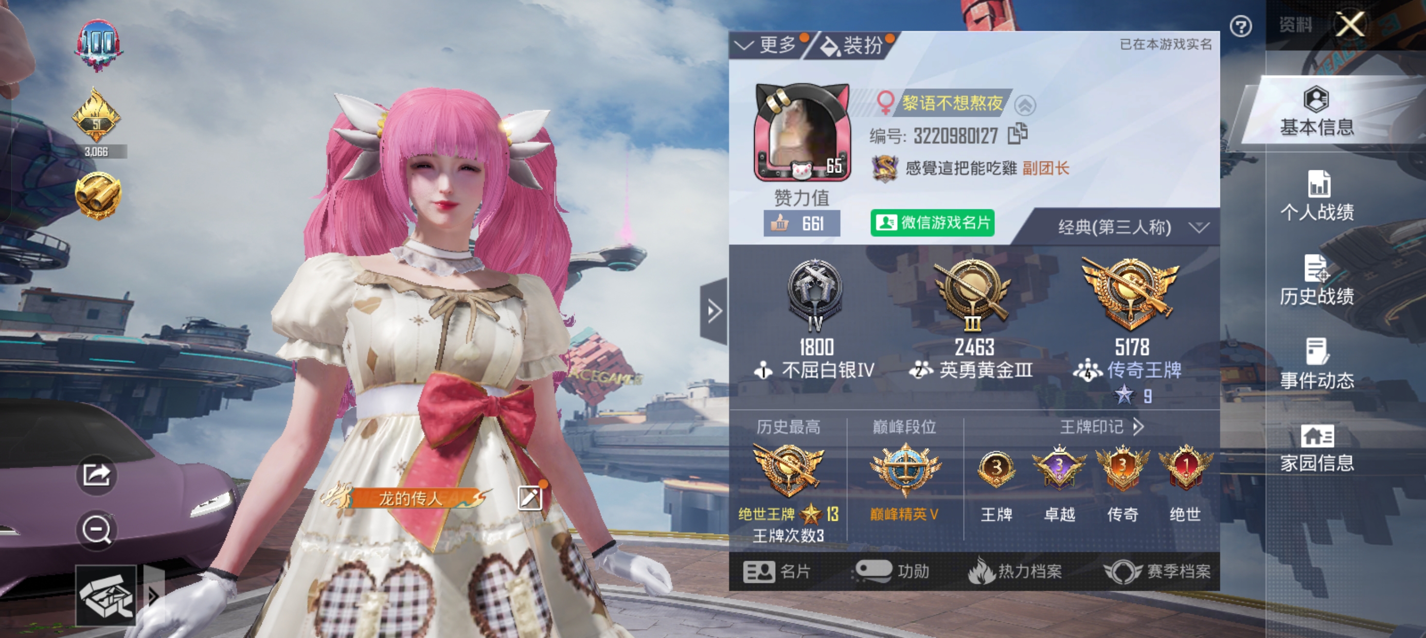 和平精英陪玩服务