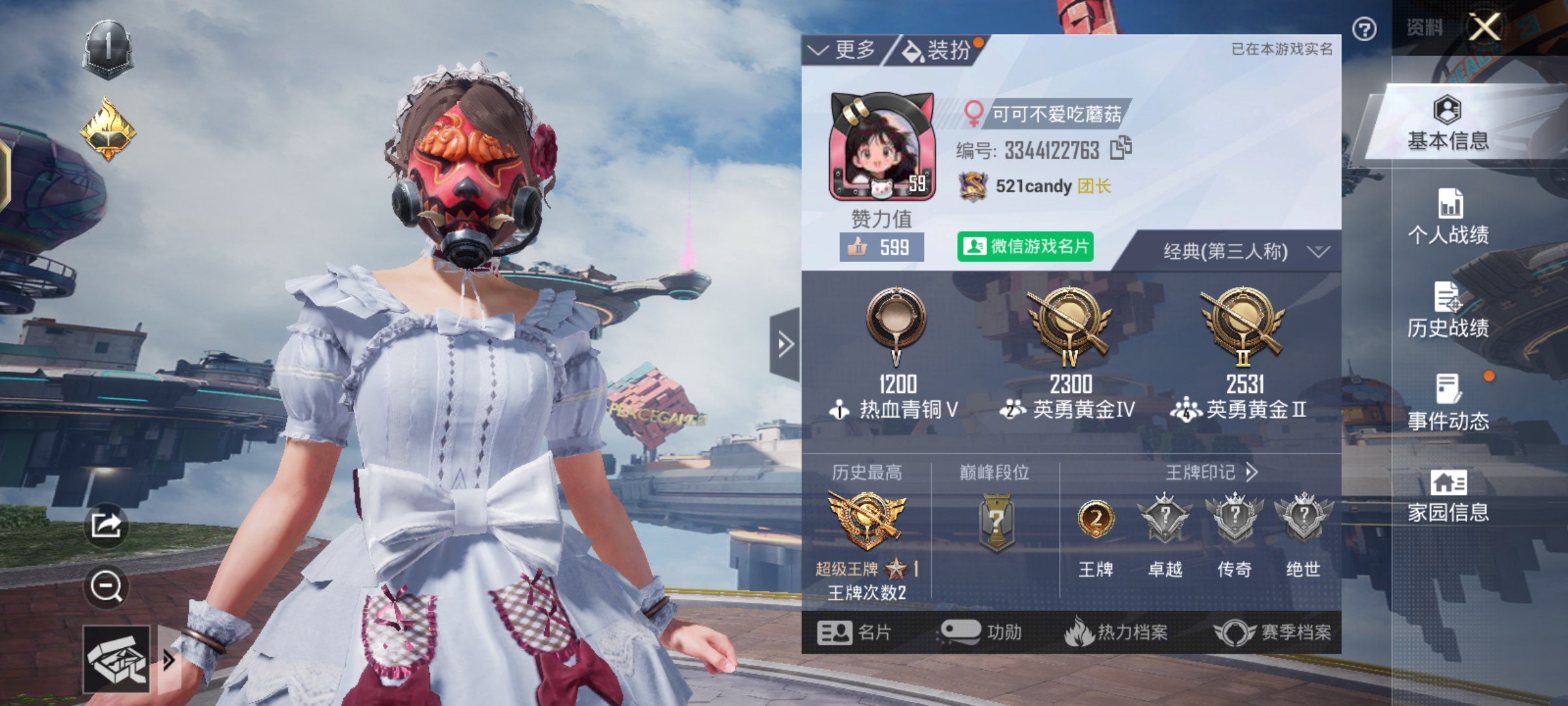 和平精英陪玩服务