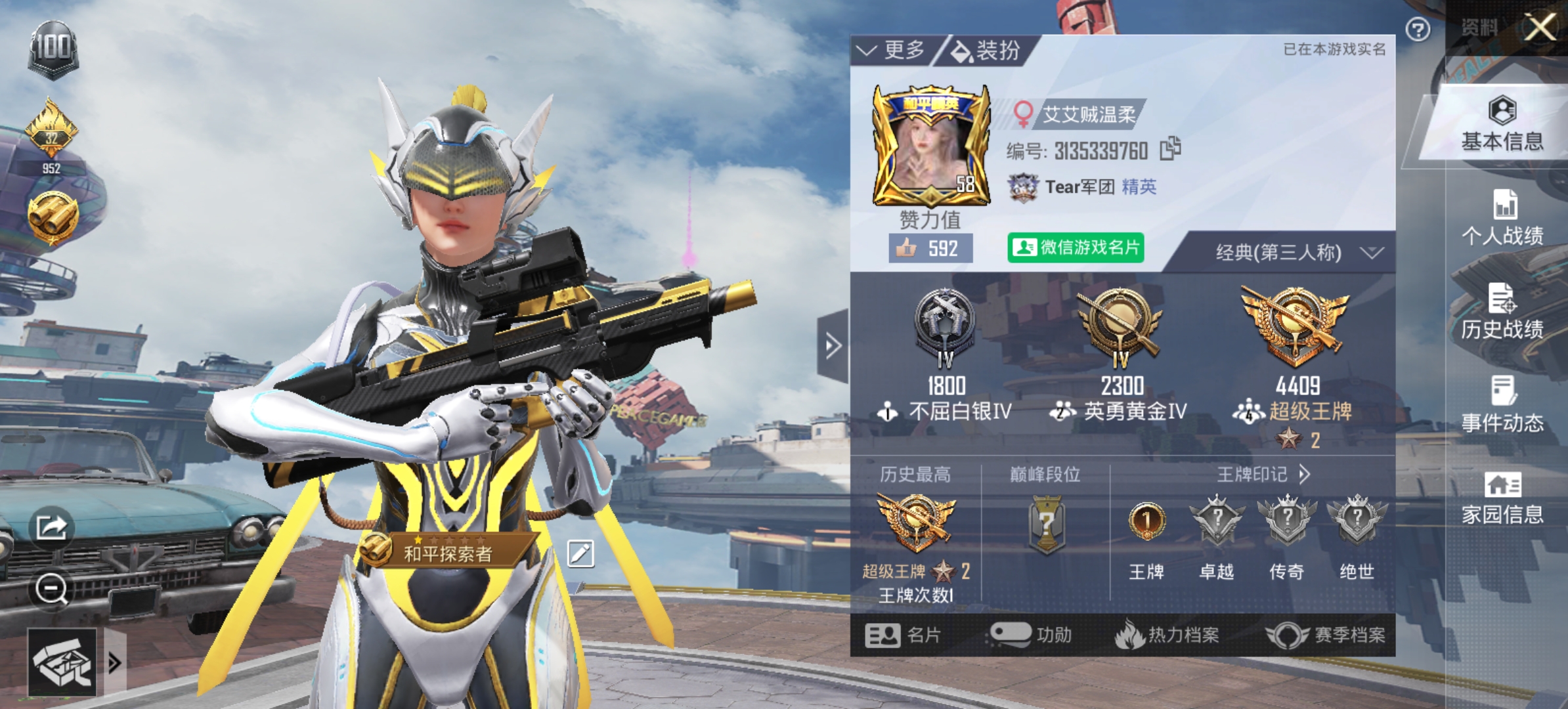 和平精英陪玩服务