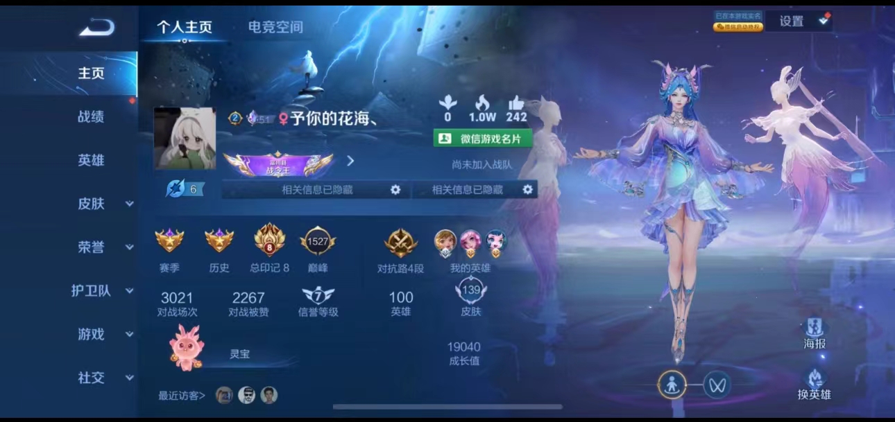 王者荣耀陪玩服务