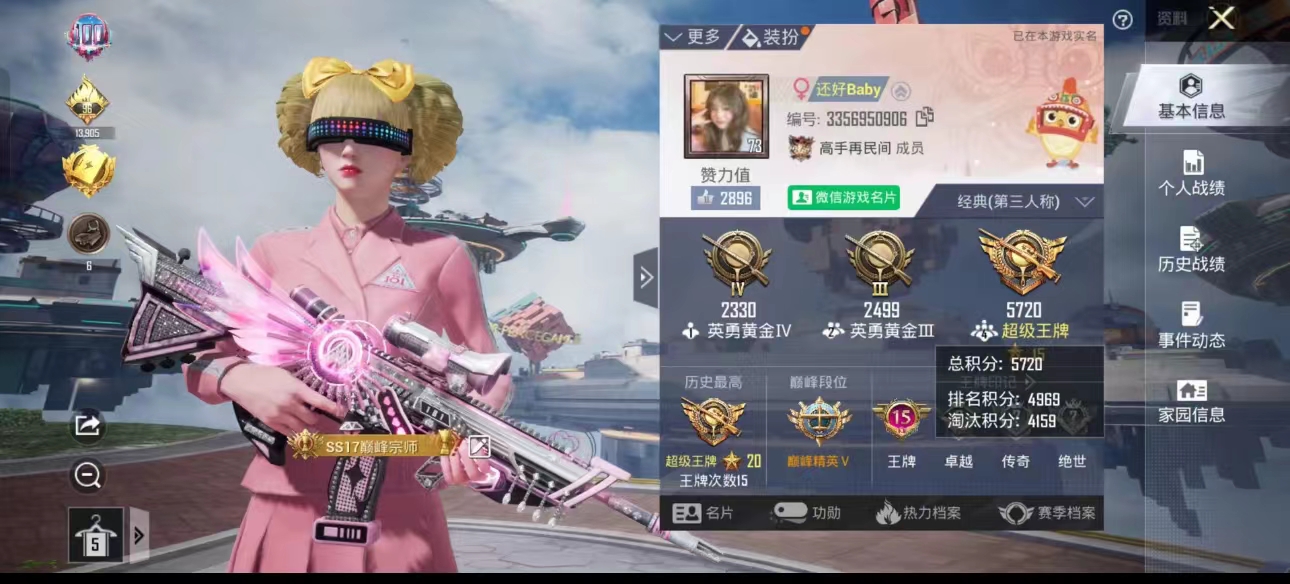 和平精英陪玩服务