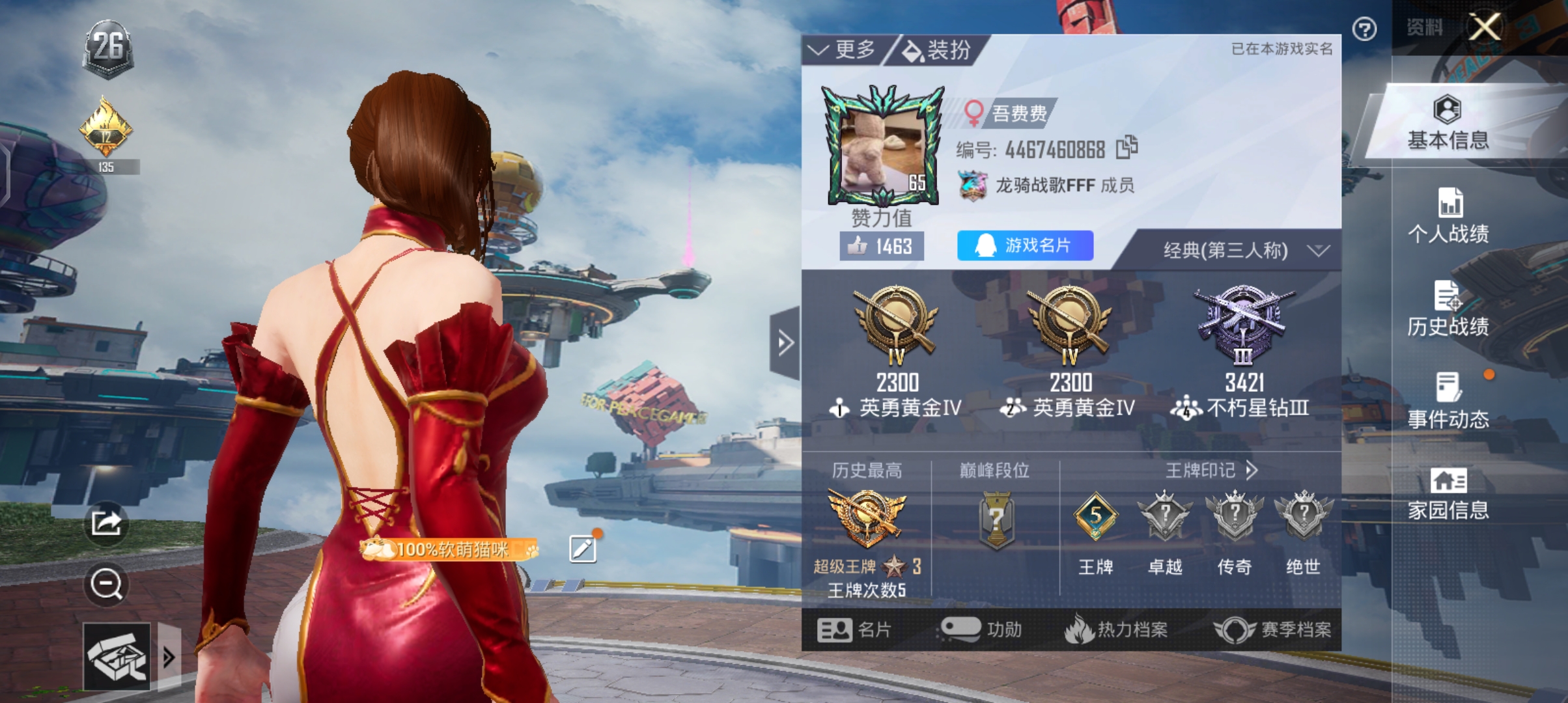 和平精英陪玩服务