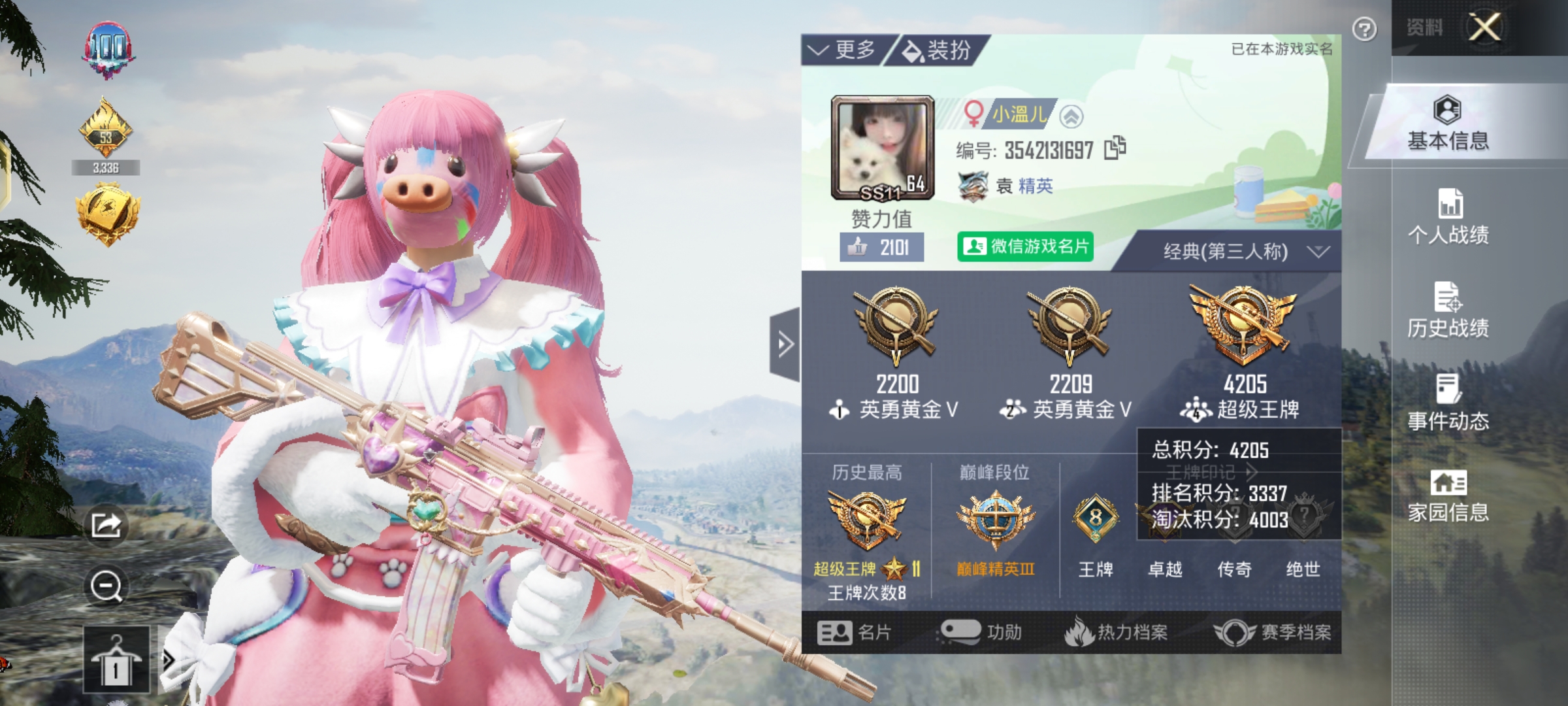 和平精英陪玩服务