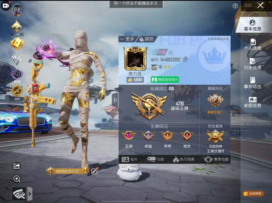 和平精英陪玩服务