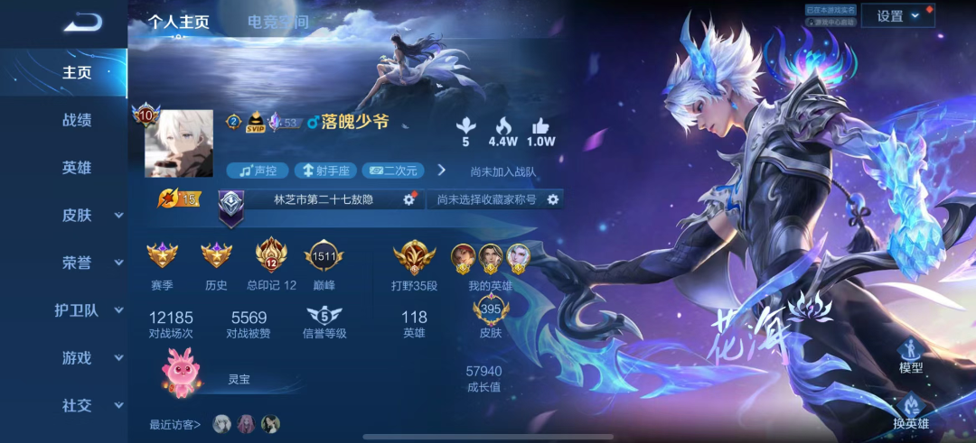 王者荣耀陪玩服务