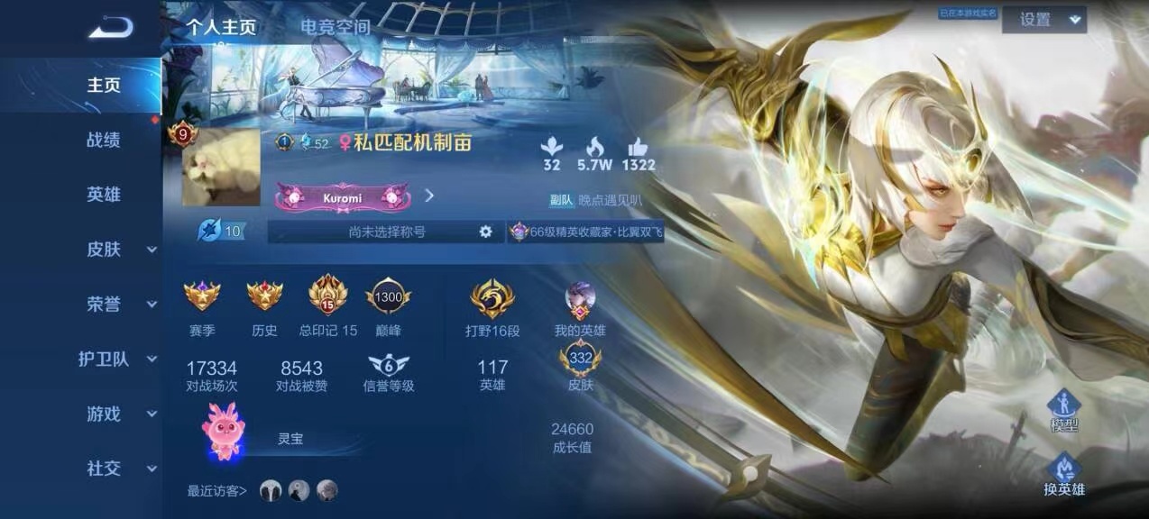 王者荣耀陪玩服务