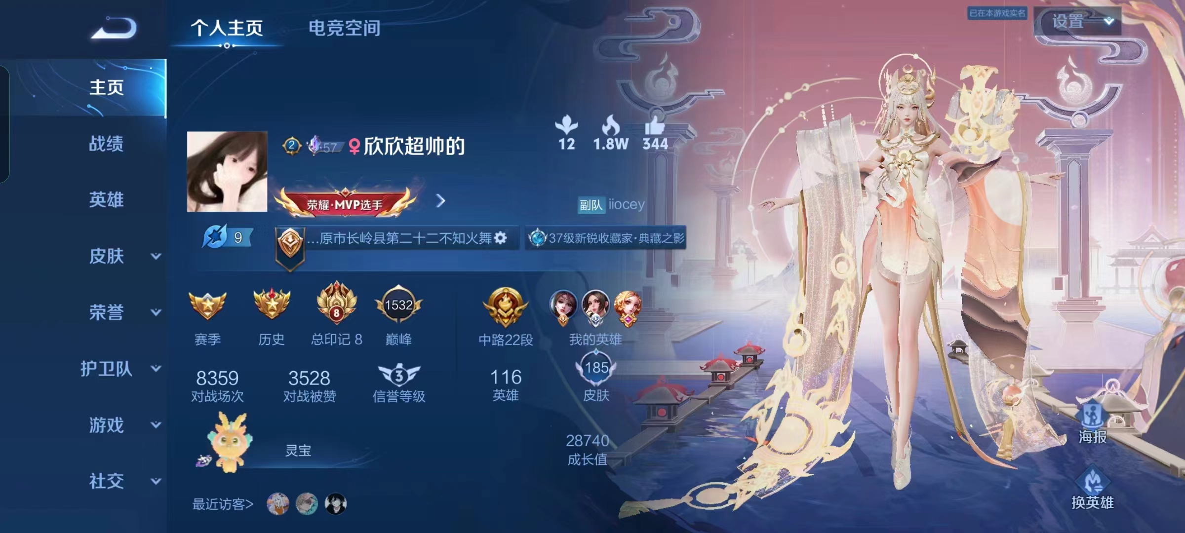 王者荣耀陪玩服务