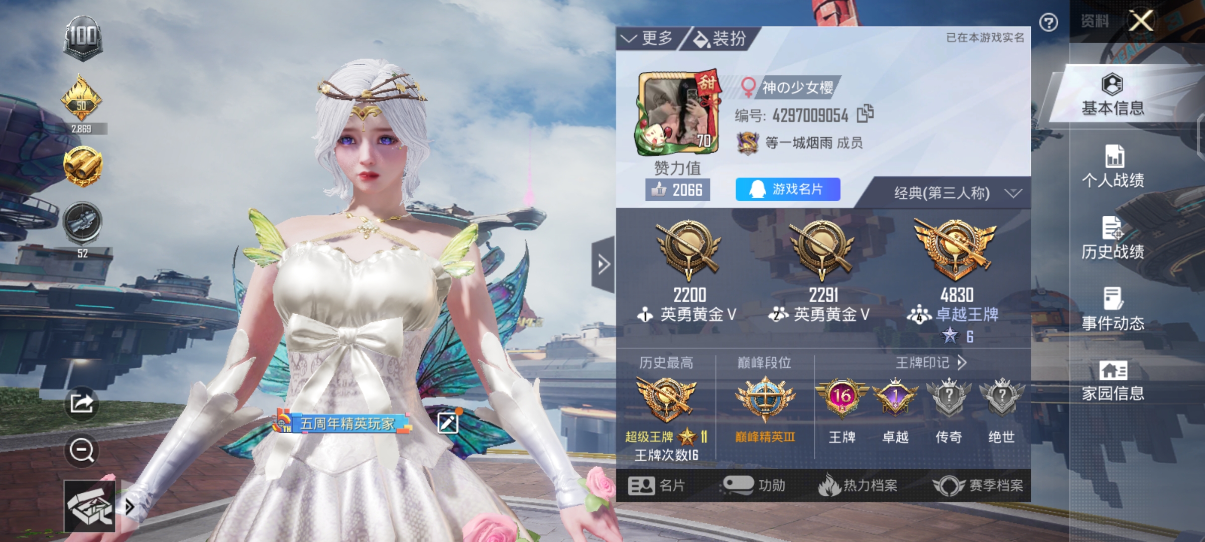 和平精英陪玩服务