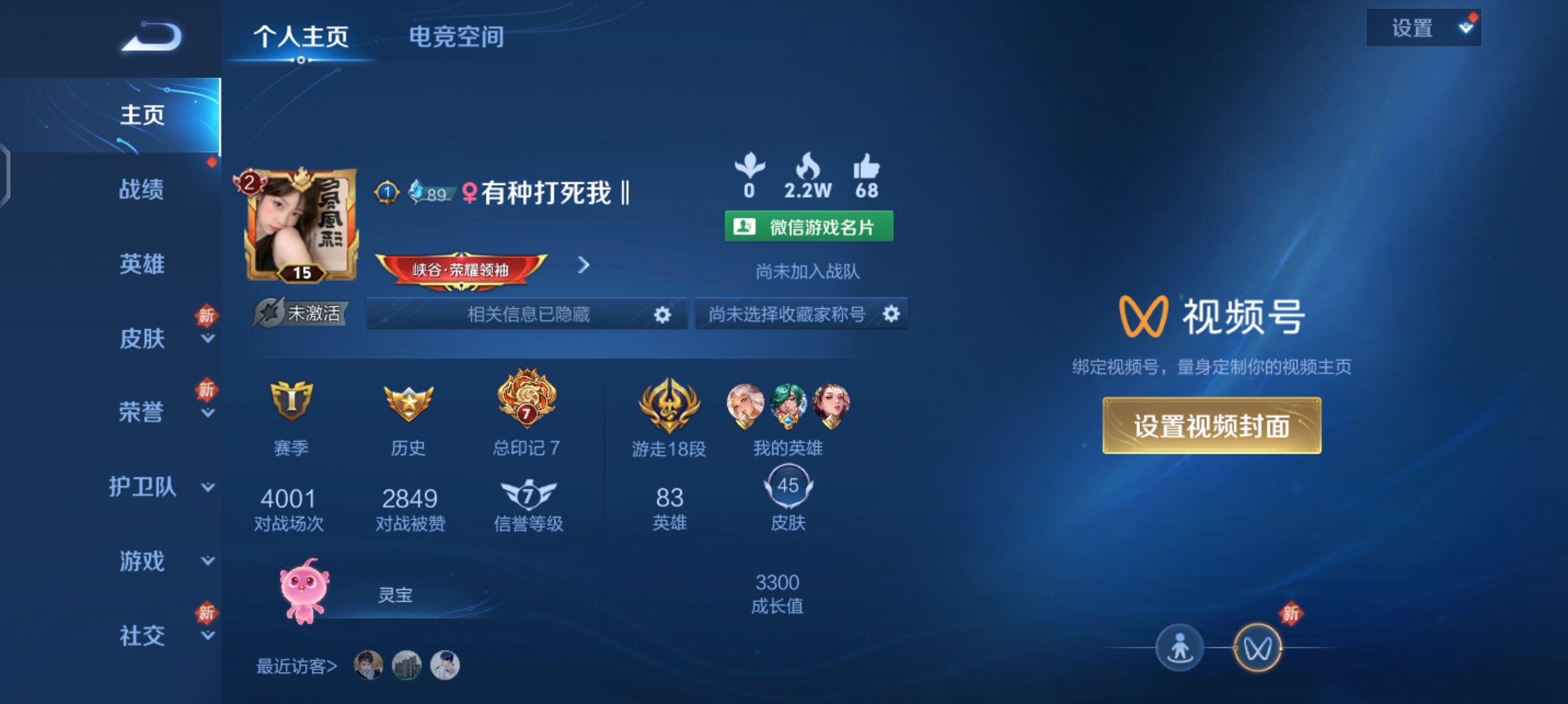 王者荣耀陪玩服务