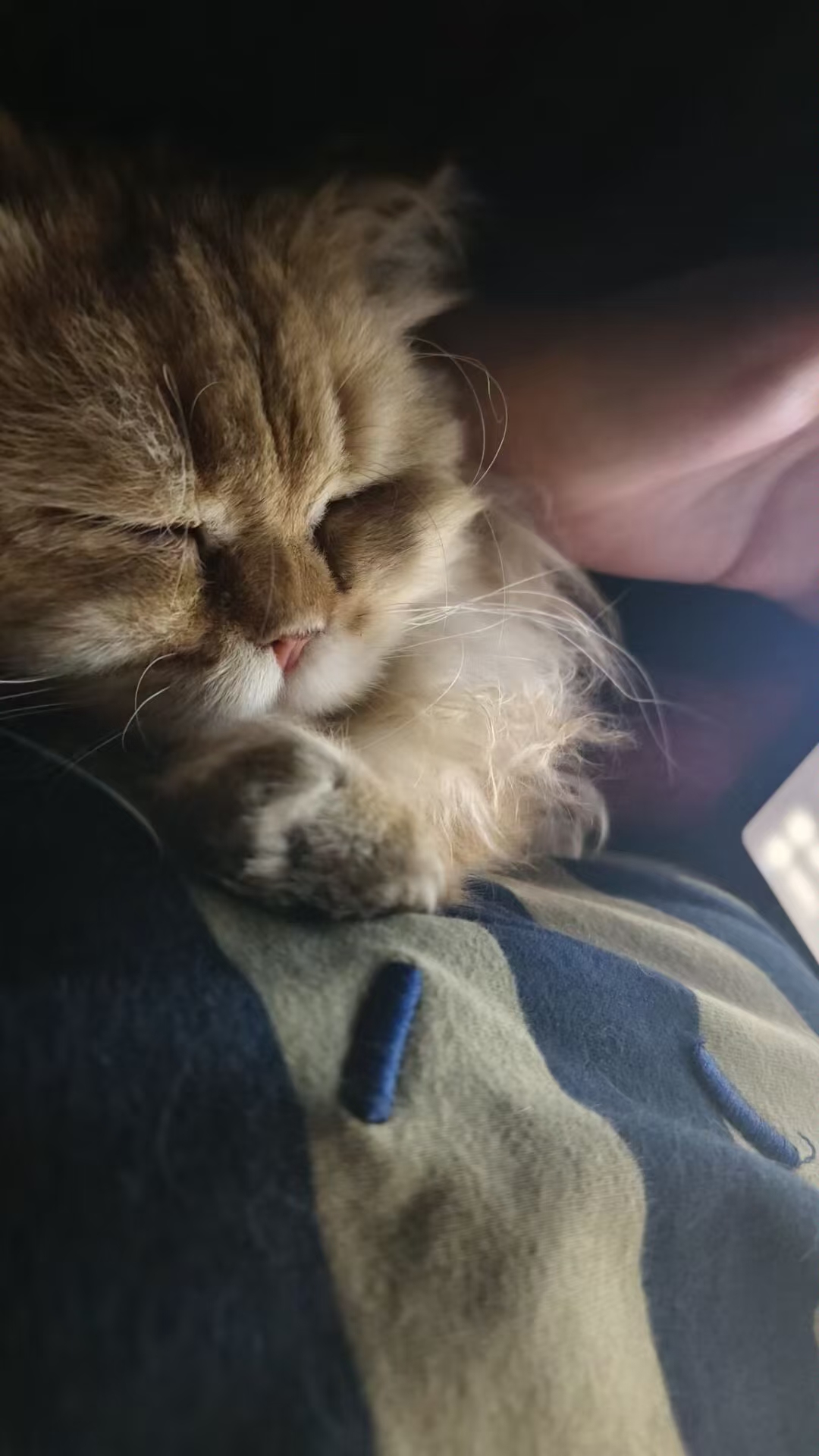 陪玩妹子小云话多的照片3