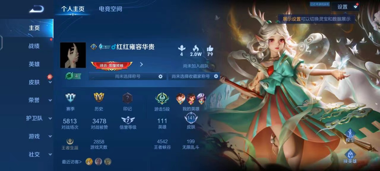 王者荣耀陪玩服务