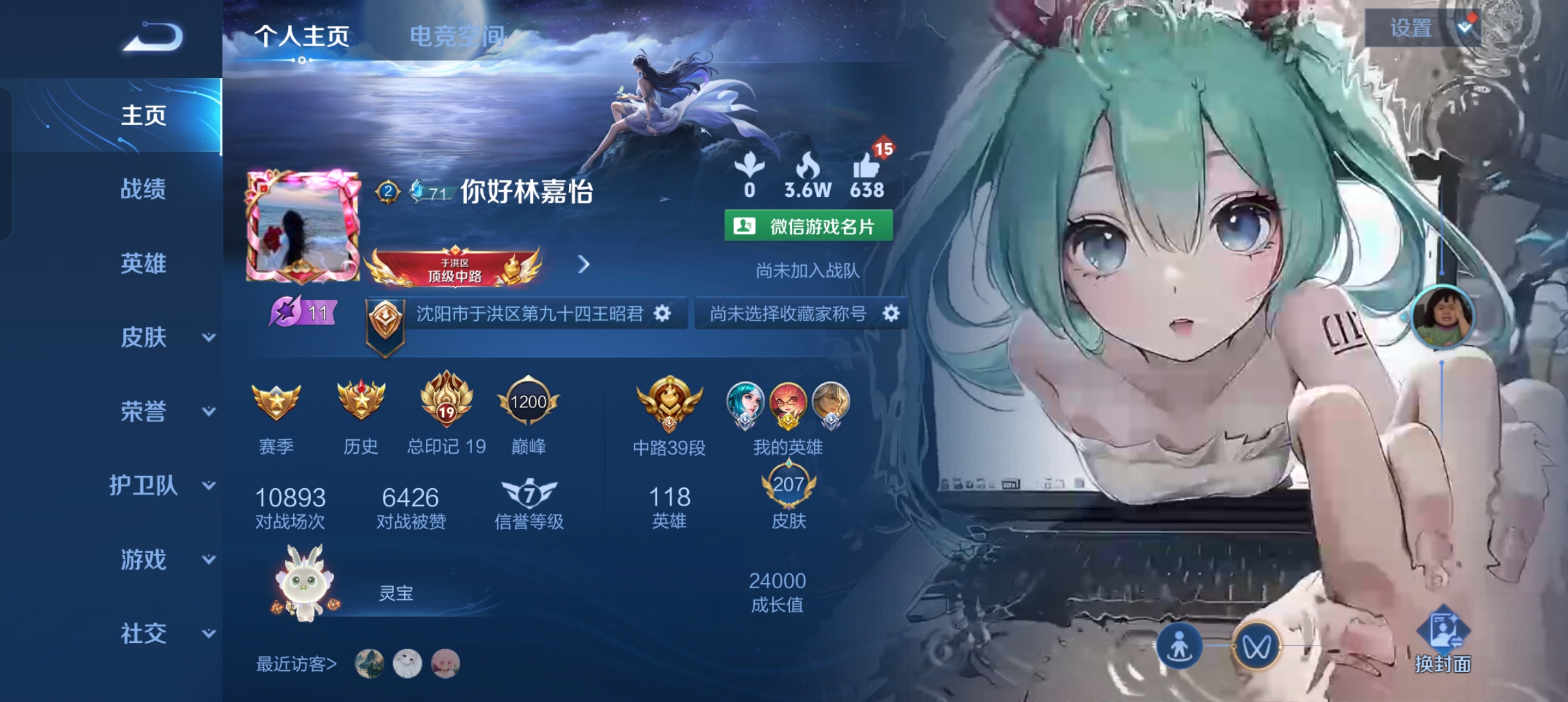 王者荣耀陪玩服务
