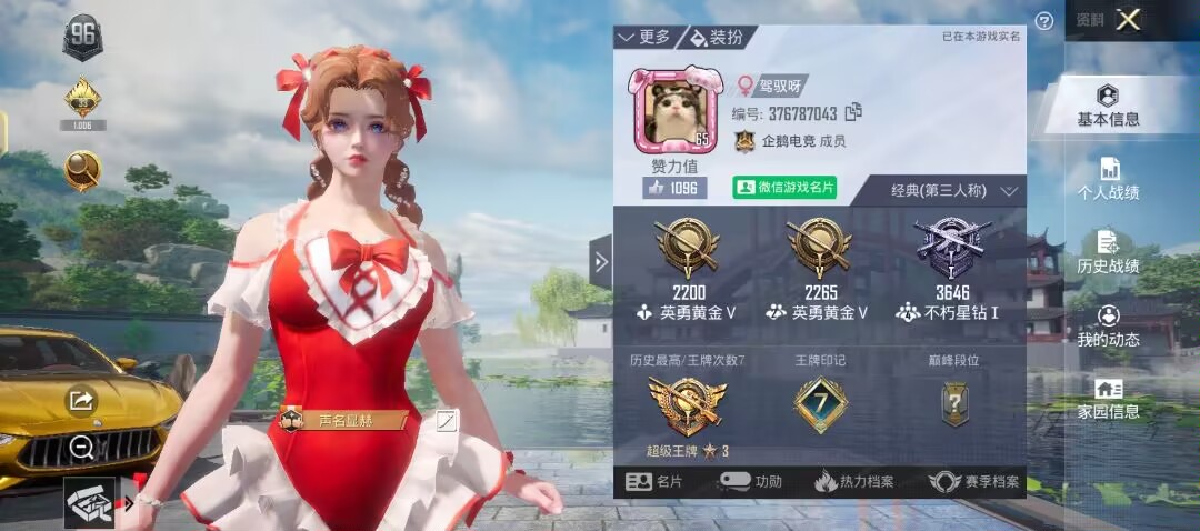 和平精英陪玩服务