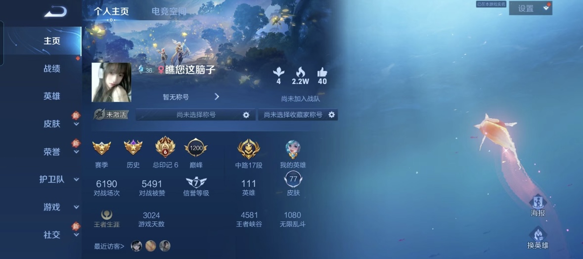 王者荣耀陪玩服务