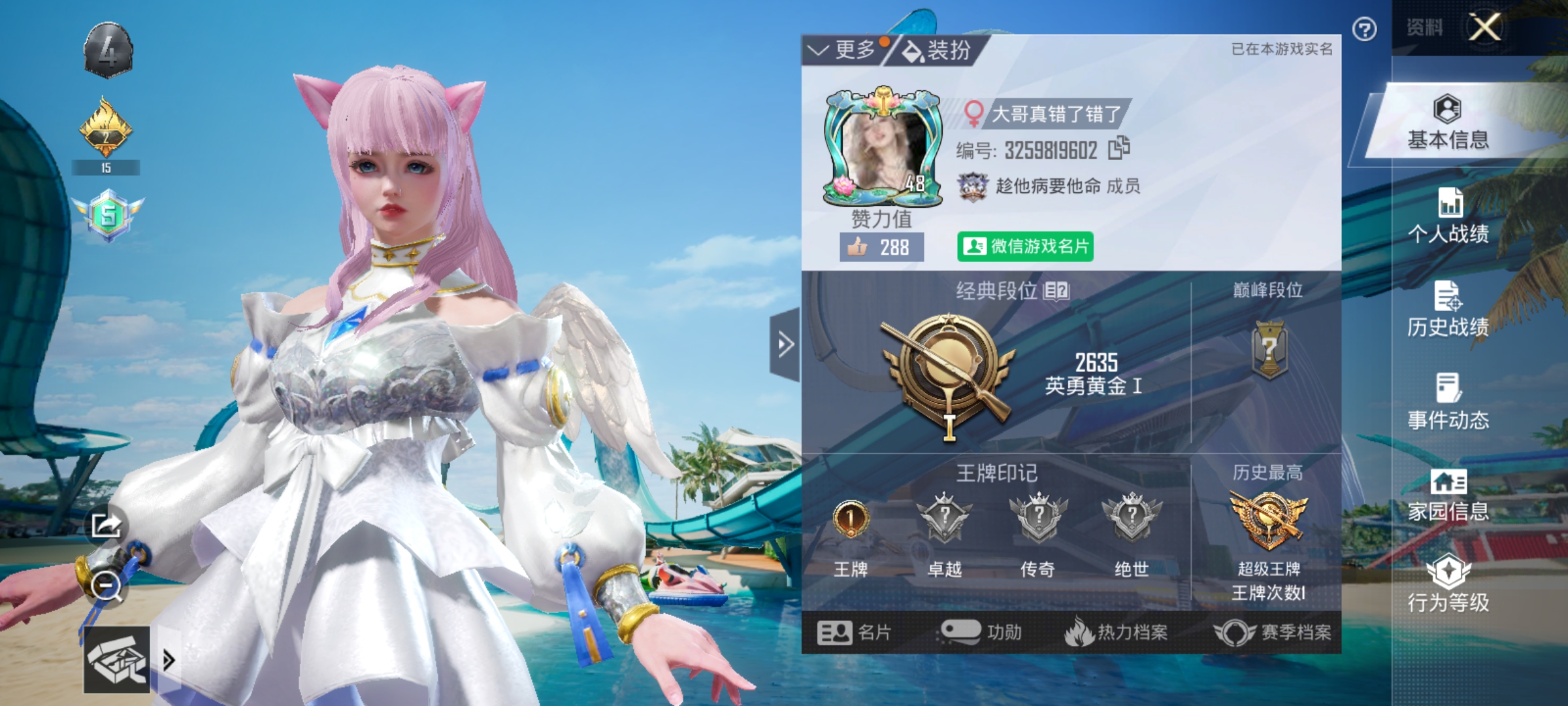 和平精英陪玩服务