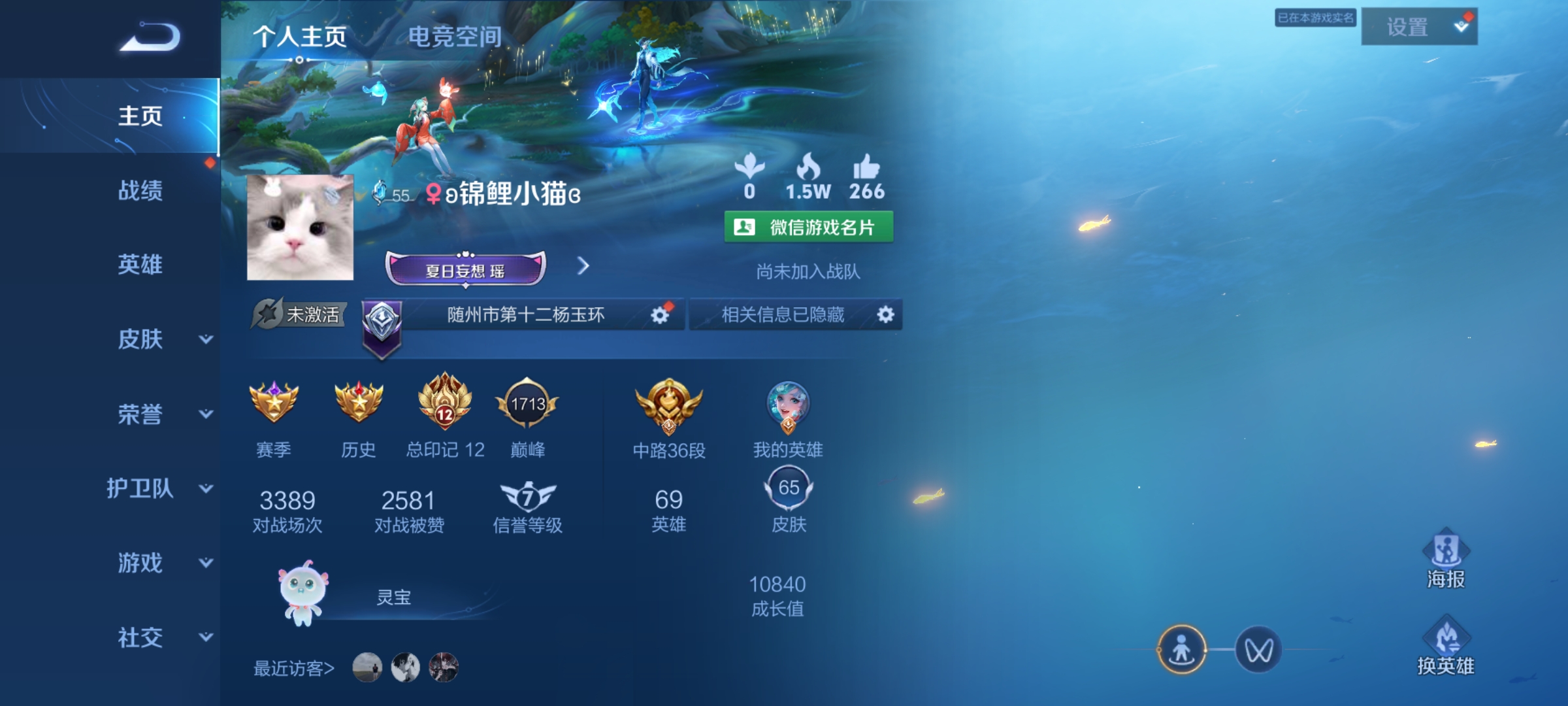 王者荣耀陪玩服务