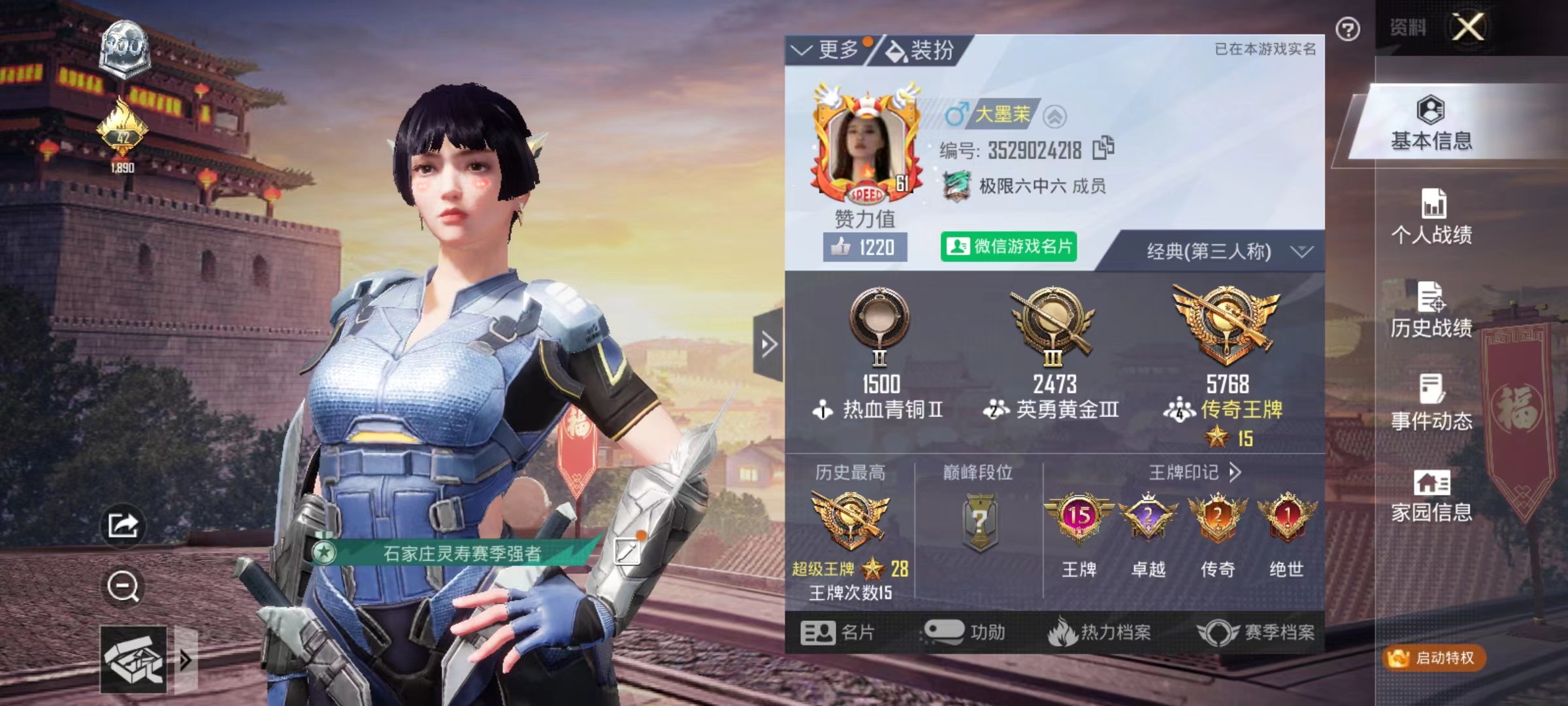 和平精英陪玩服务
