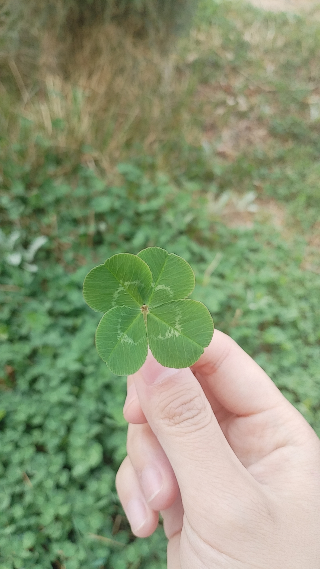 陪玩妹子池浅王八多的照片2