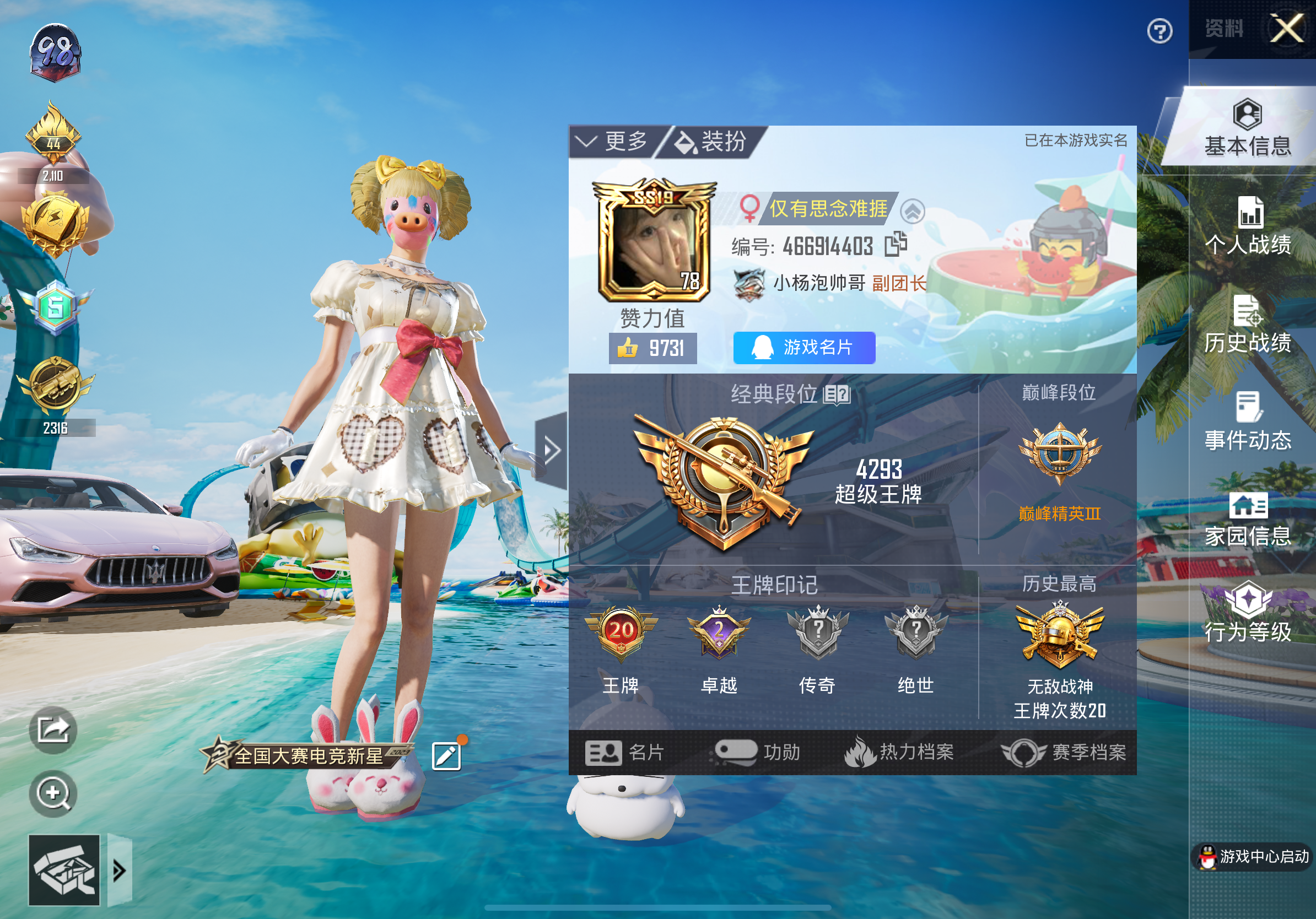 和平精英陪玩服务