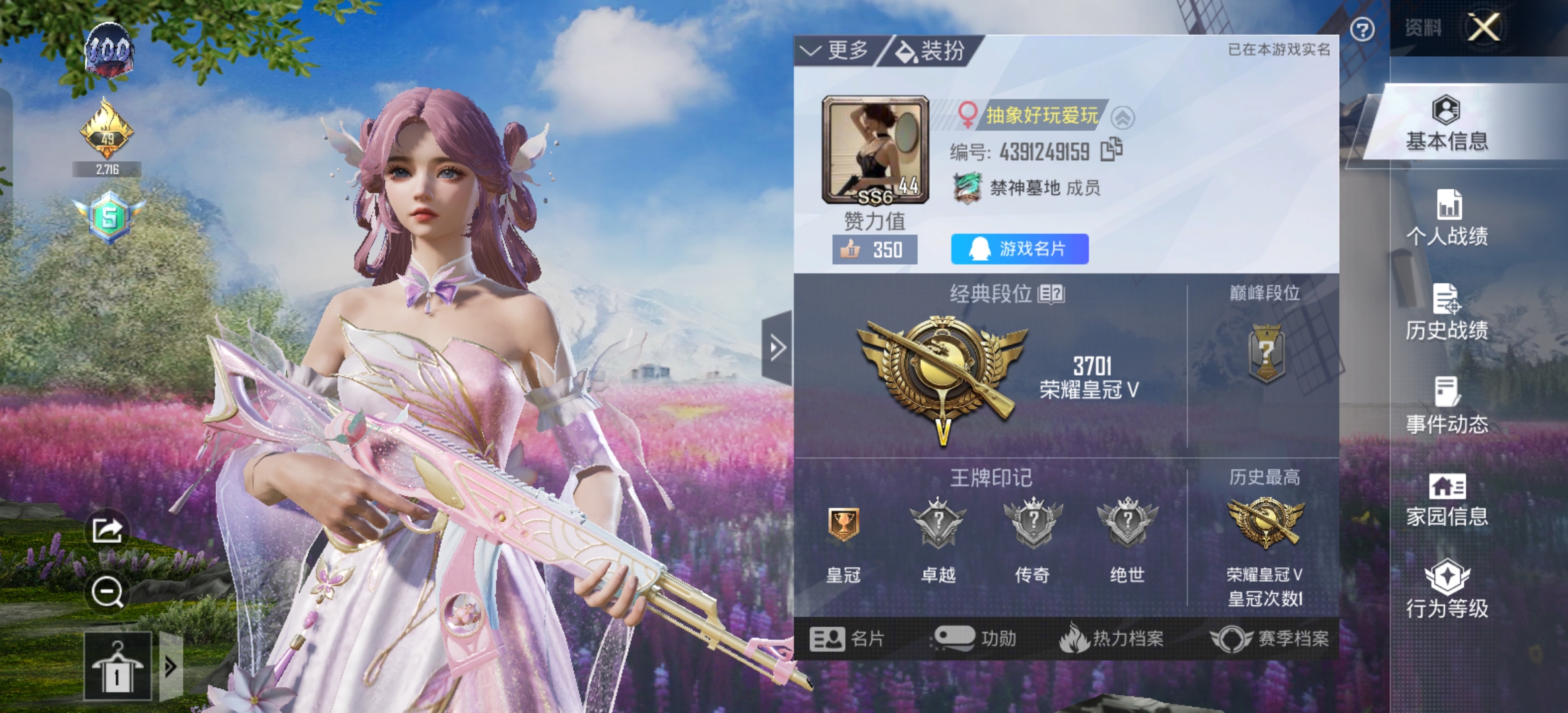 和平精英陪玩服务