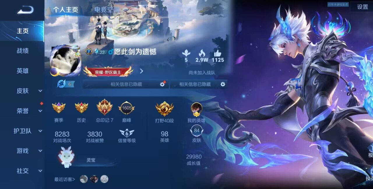 王者荣耀陪玩服务