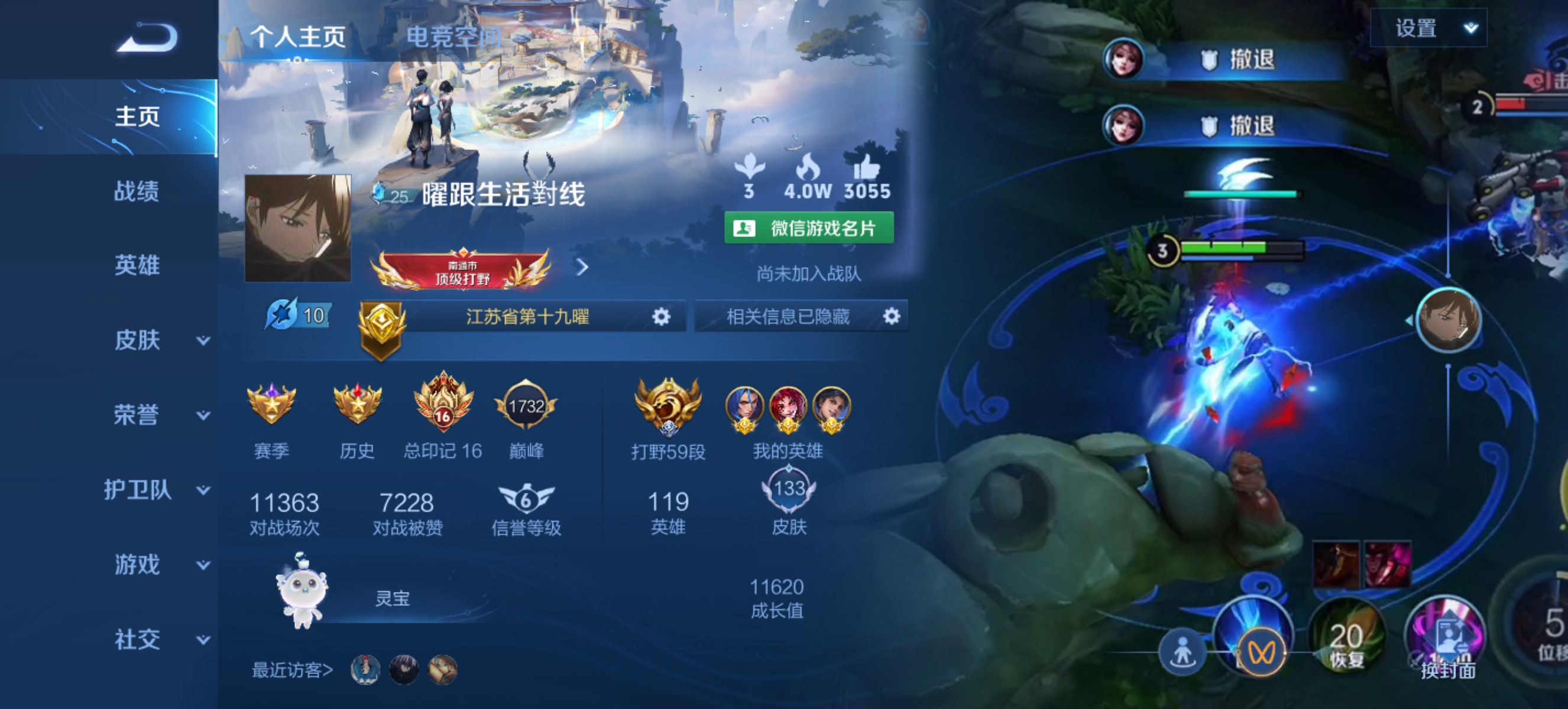 王者荣耀陪玩服务