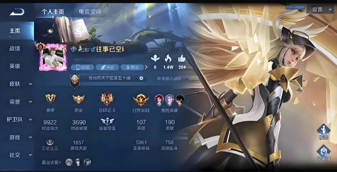 王者荣耀陪玩服务
