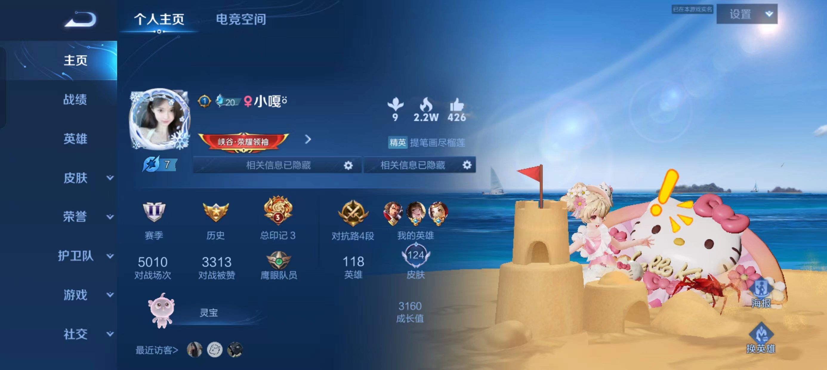 王者荣耀陪玩服务