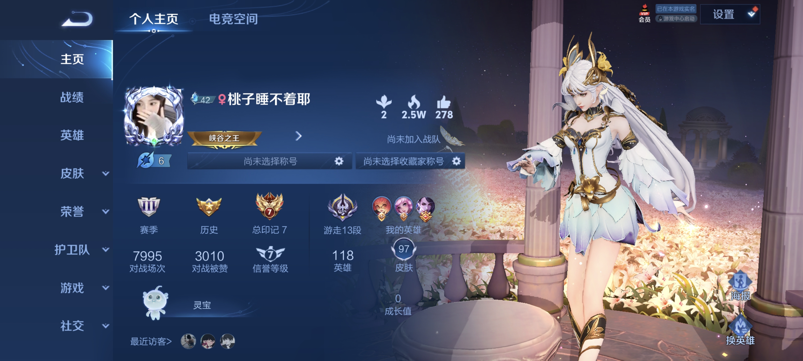 王者荣耀陪玩服务