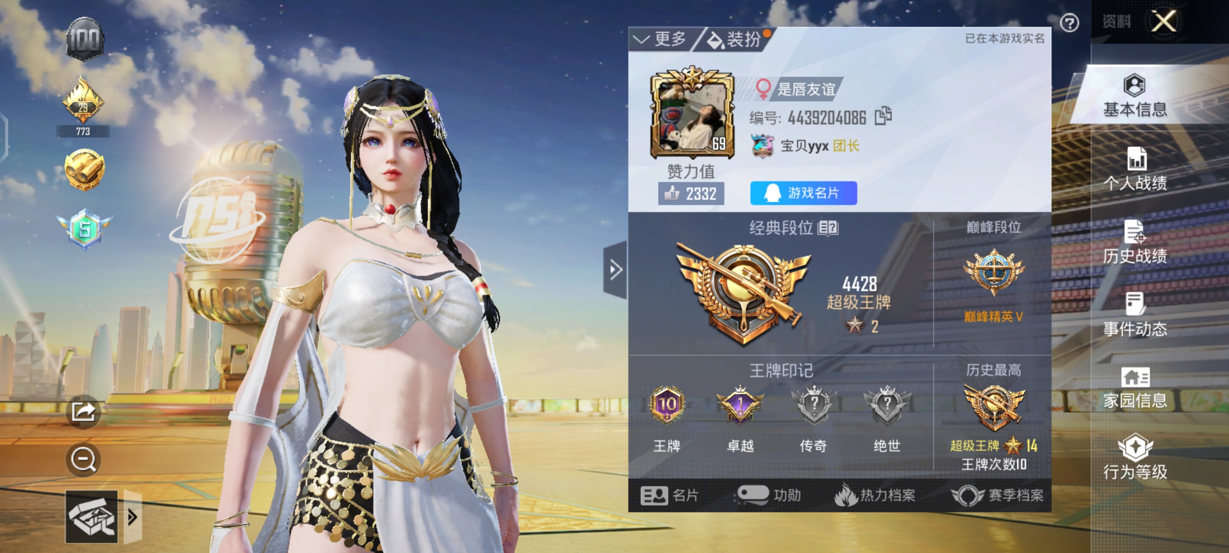 和平精英陪玩服务