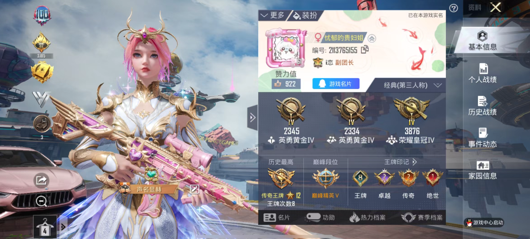 和平精英陪玩服务