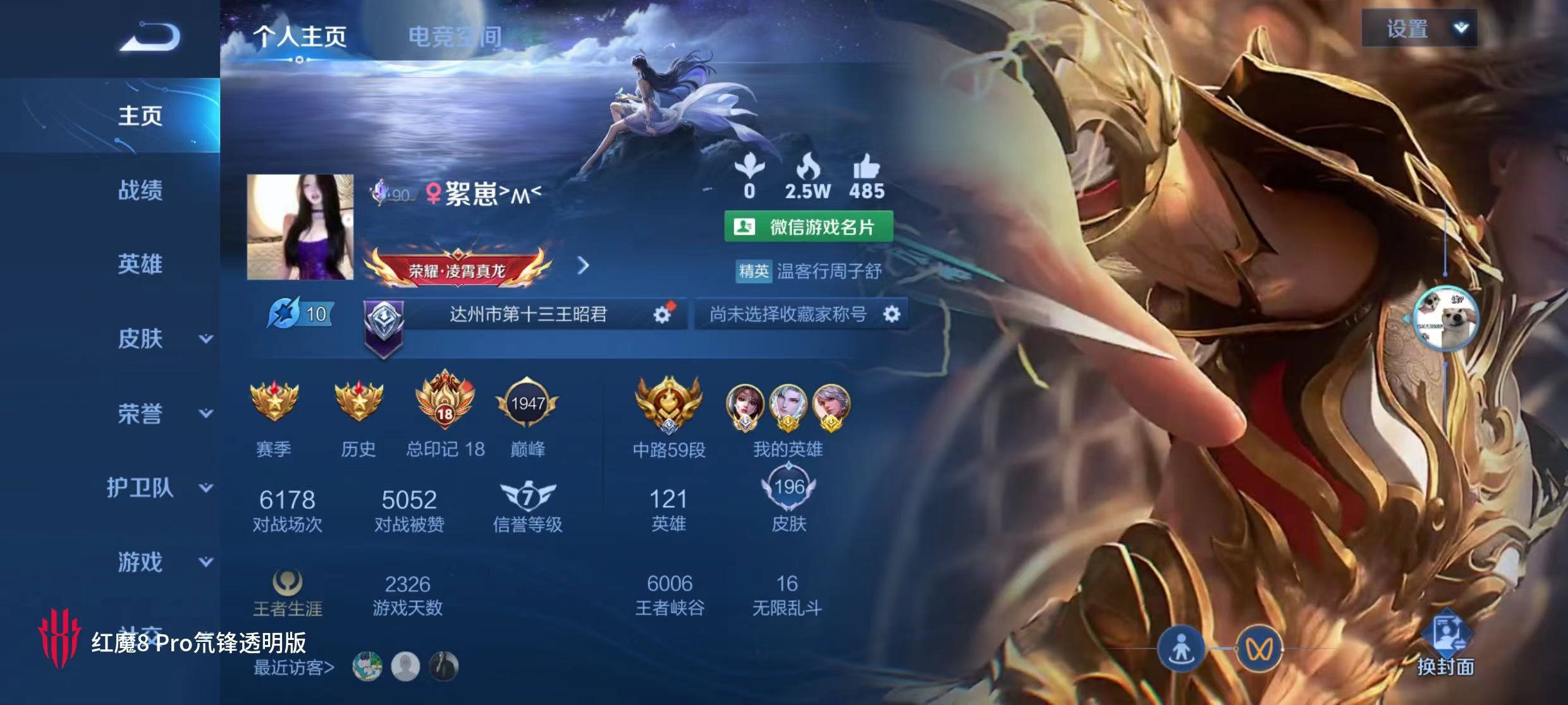 王者荣耀陪玩服务