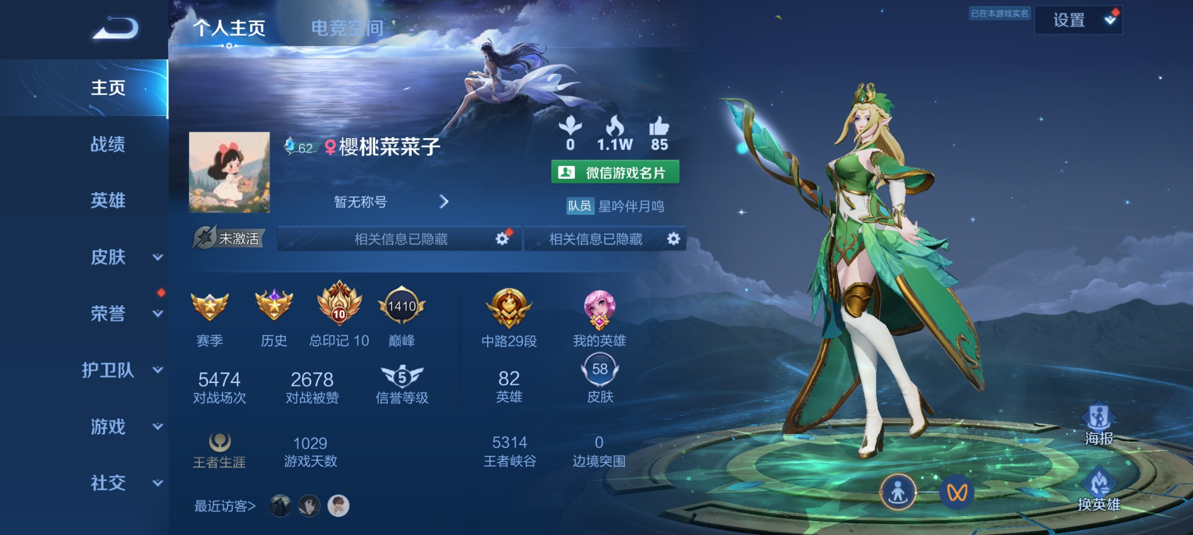 王者荣耀陪玩服务