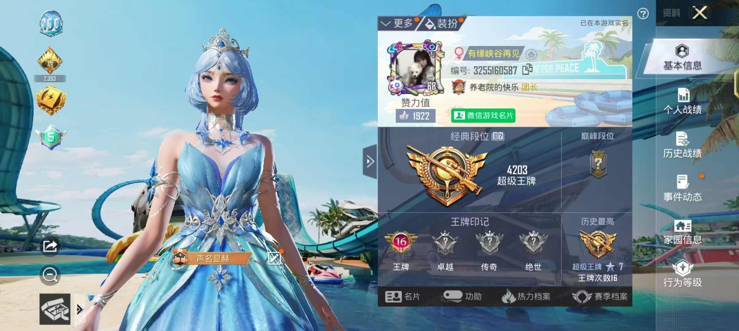 和平精英陪玩服务