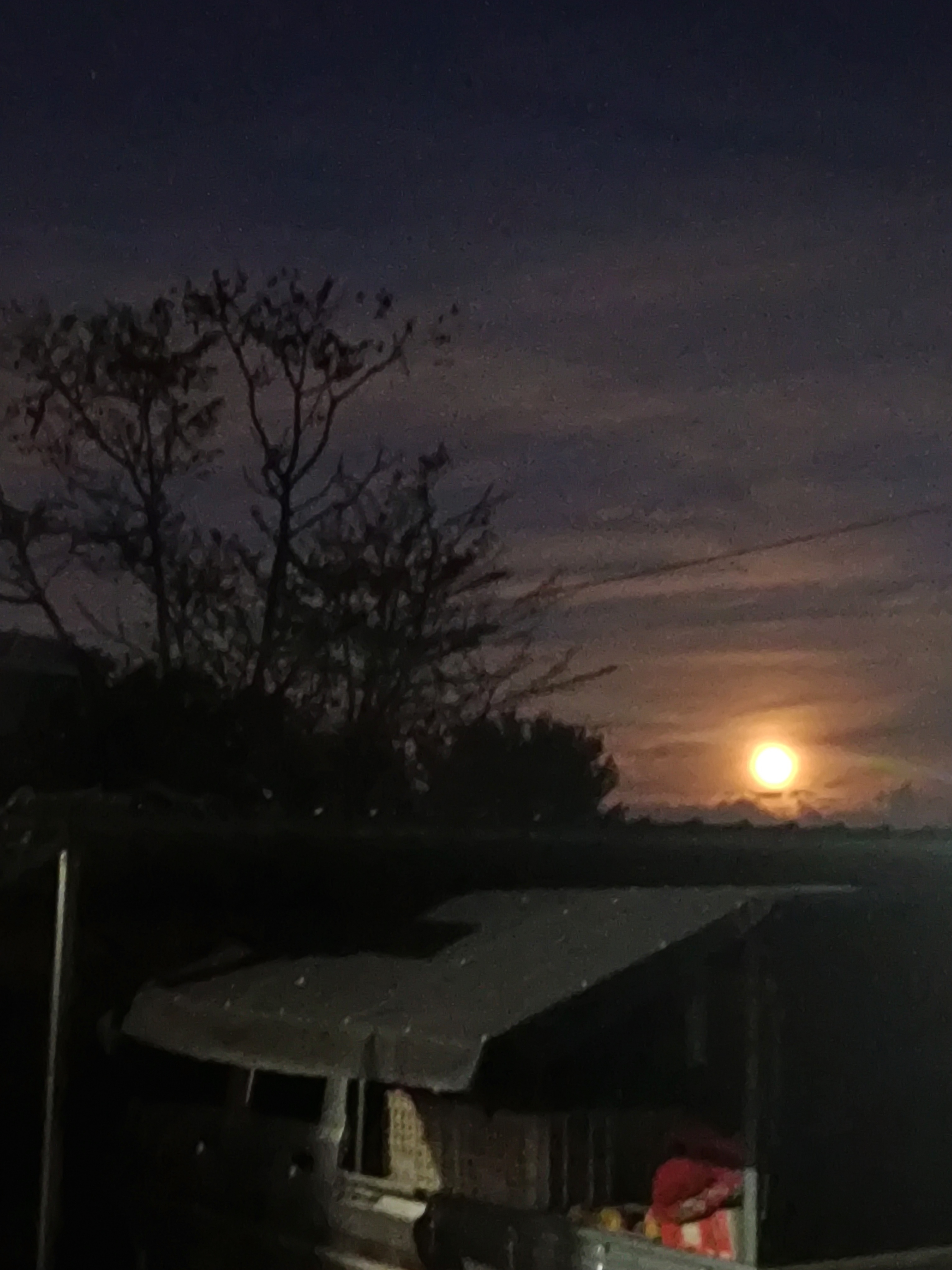 陪玩妹子Xᴰ女神桃桃的照片1