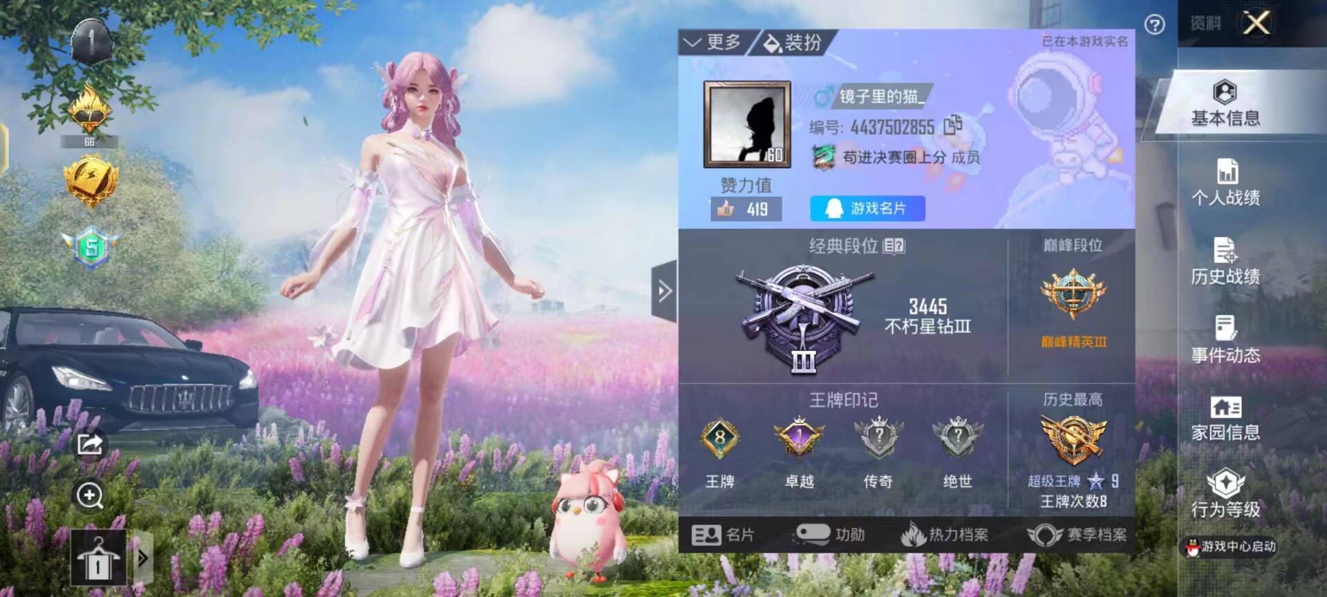 和平精英陪玩服务