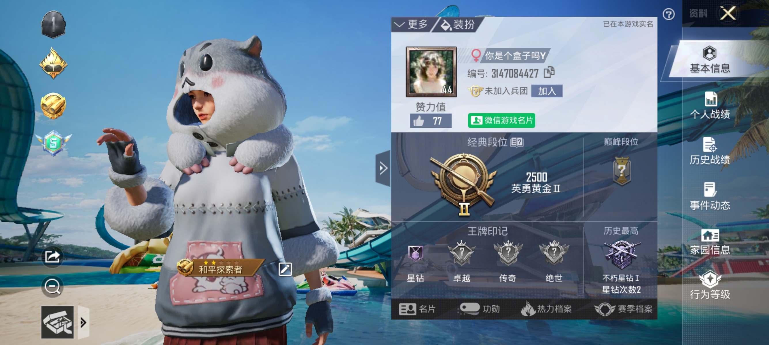 和平精英陪玩服务
